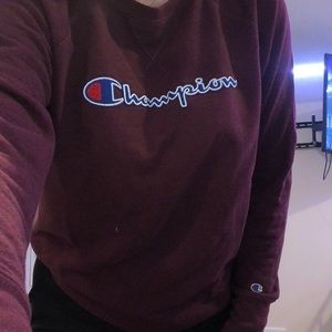 Champion pull over